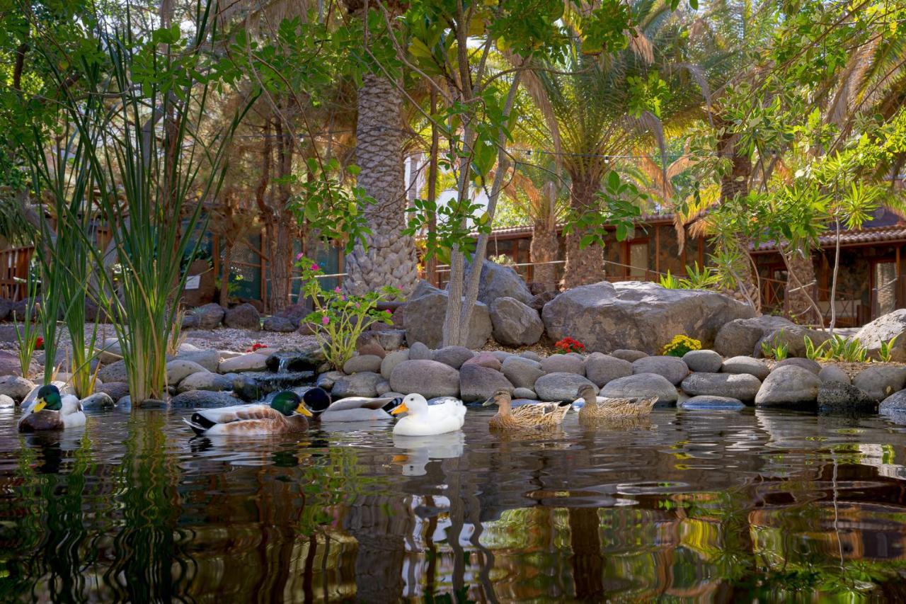 Redondo De Guayedra Guest House Exterior photo